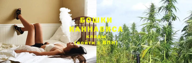 Каннабис SATIVA & INDICA  Грязи 